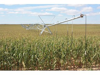 Property photo 101 - LAND AUCTION, 3255+/- Acres offered in 13 Tracts